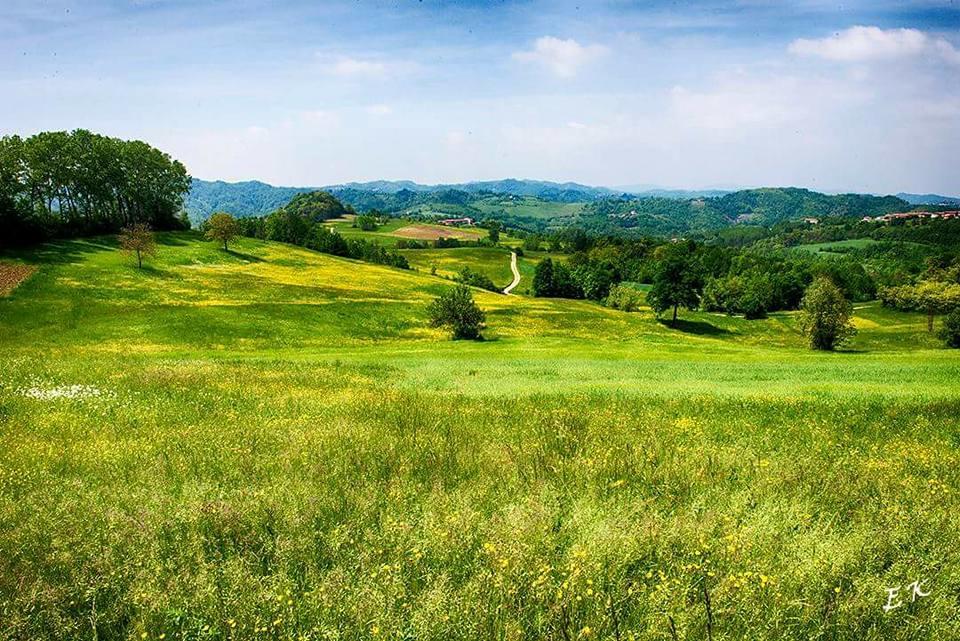 Cà Borgo Vecchio Brusasco Exterior foto
